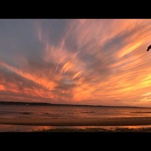 Meet your Posher, Olga